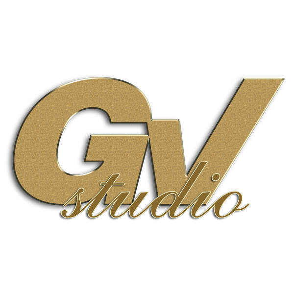 VG Studio logo